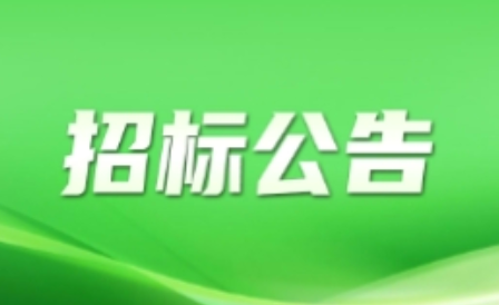 新龙镇2026年度排涝应急抢险队伍服务项目 磋商公告
